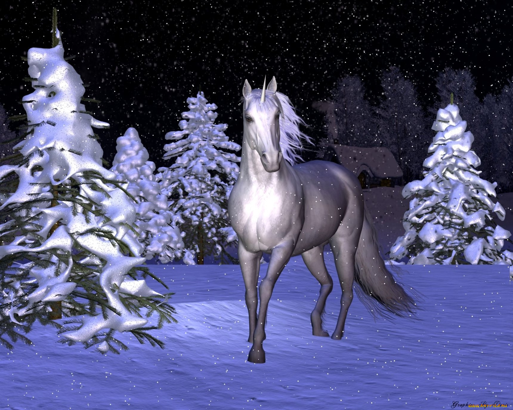 3, , animals, , , , 